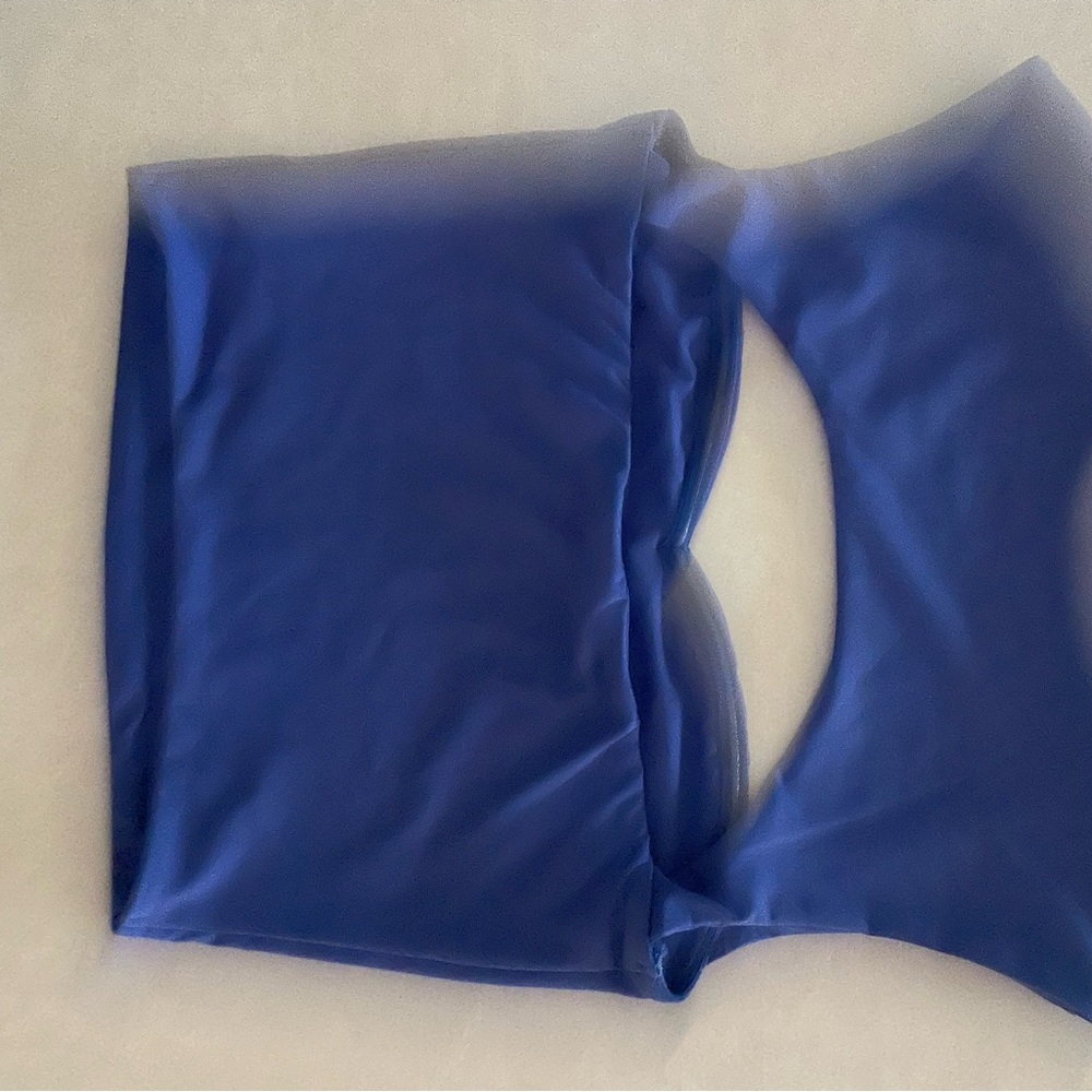 SHEIN Blue Sheer Crop Top